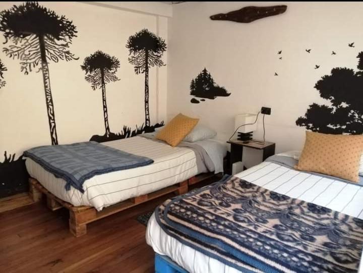 Tipico Hostel Chile Chillán Esterno foto